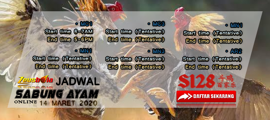 Jadwal Digmaan Sabung Ayam Online 14 Maret 2020