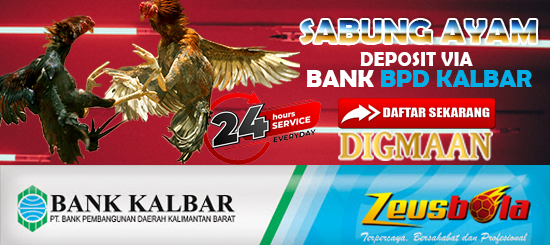 Agen Judi Sabung Ayam Digmaan Deposit Bank BPD Kalbar